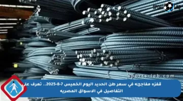 قفزة مفاجئة في سعر طن الحديد اليوم الخميس 7-8-2025.. تعرف على التفاصيل في الأسواق المصرية